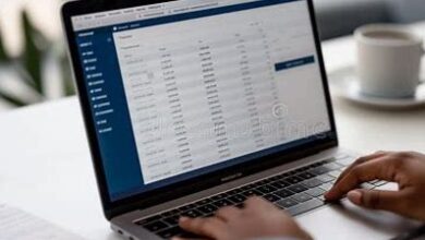 A business professional in the UK uses accounting software on a laptop, showing financial data and charts.